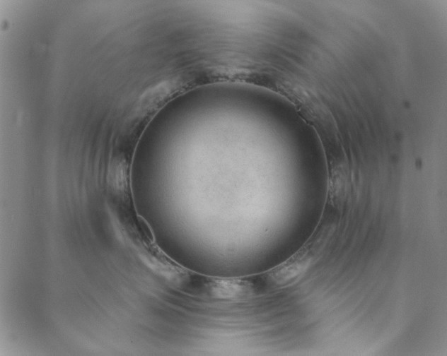 X0000089860623200706281252