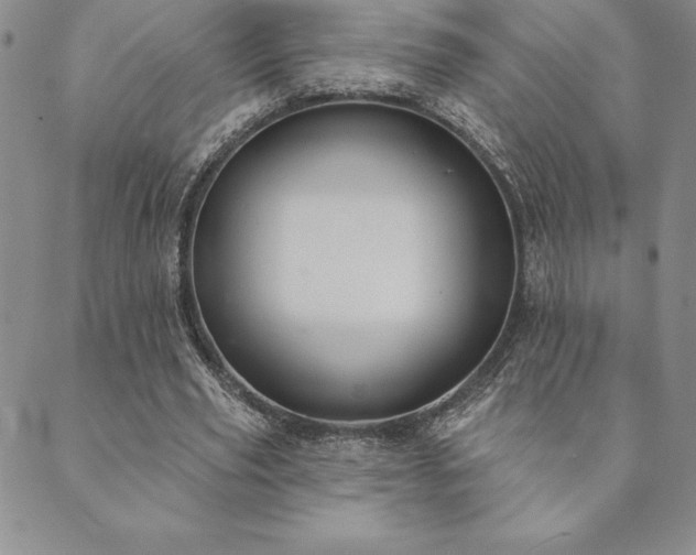 X0000089860629200706281251