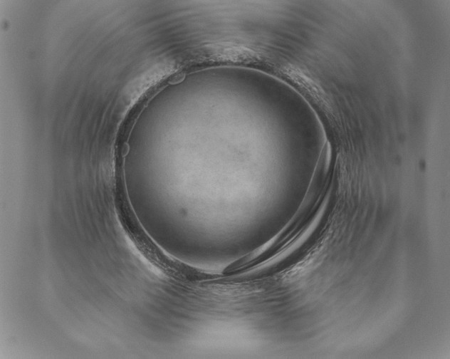 X0000089860630200706281251
