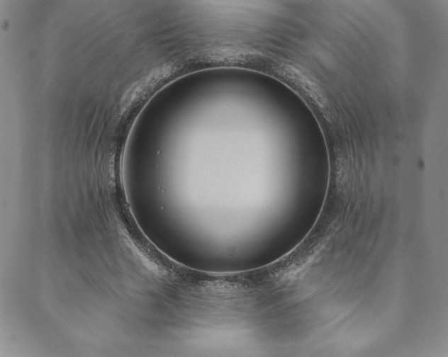 X0000089860633200706281251