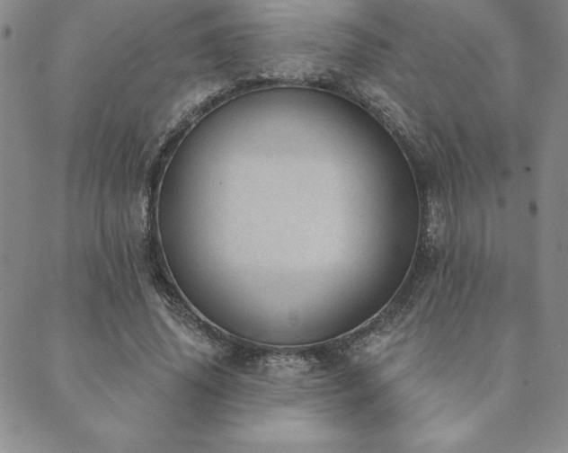 X0000089860636200706281252
