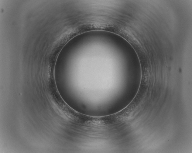 X0000089860639200706281252