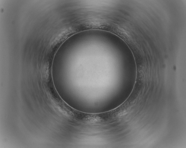 X0000089860642200706281252