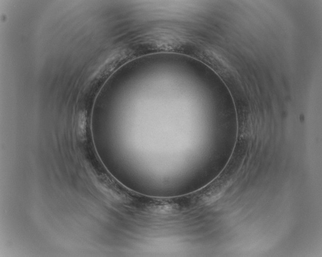 X0000089860646200706281252