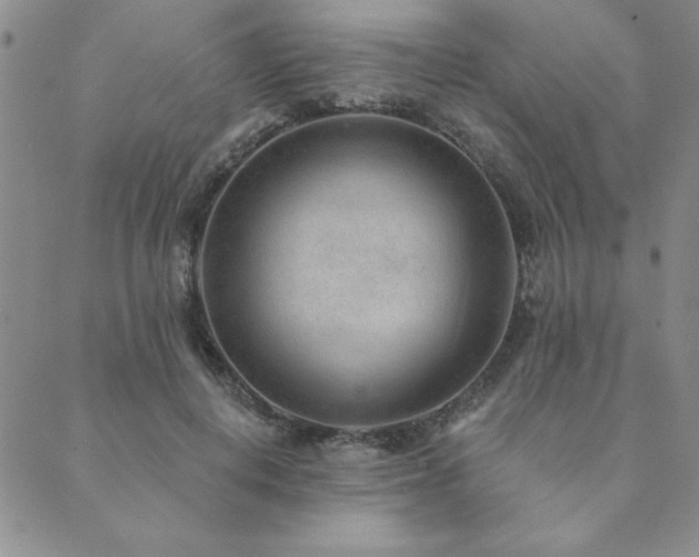 X0000089860648200706281252