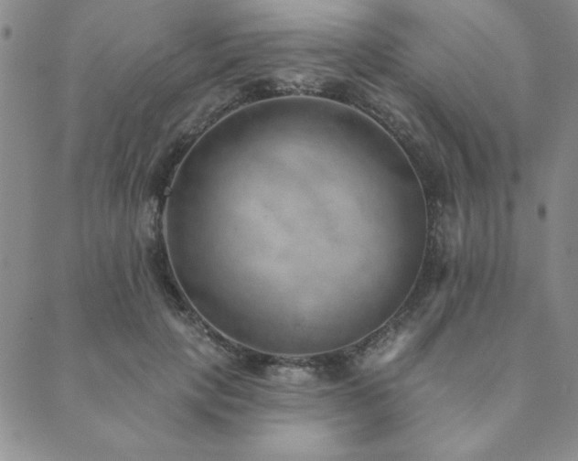 X0000089860649200706281252