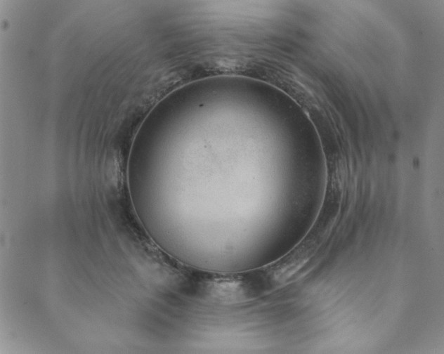 X0000089860651200706281252