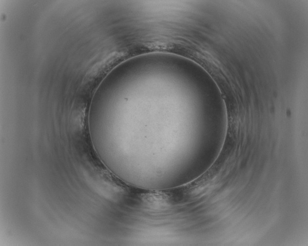 X0000089860652200706281252