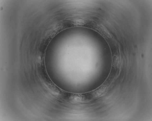 X0000089860655200706281252