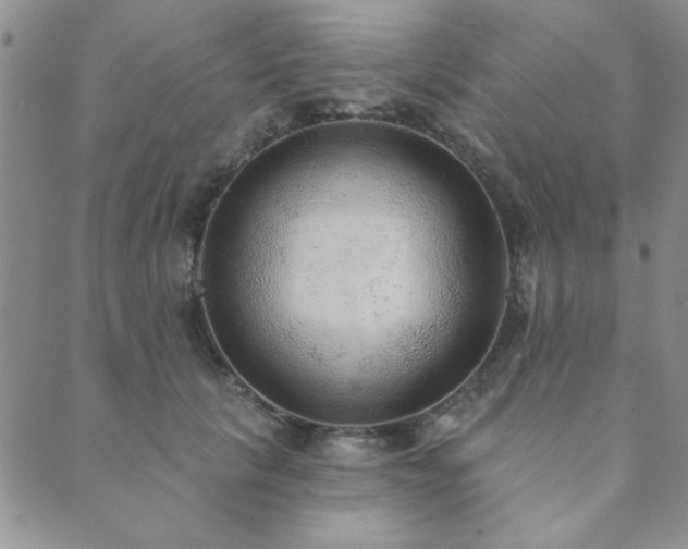 X0000089860657200706281252