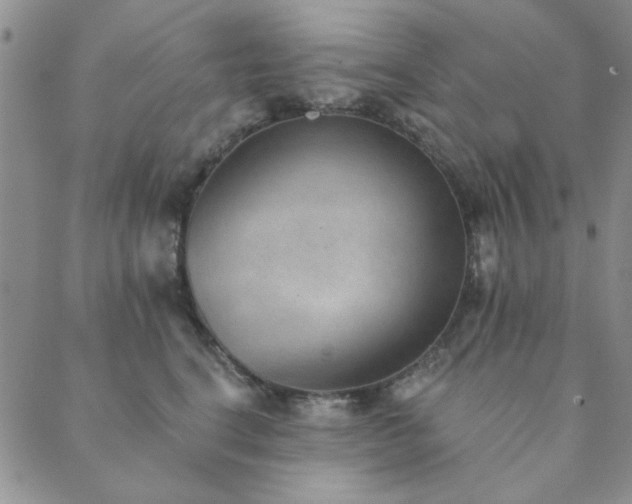 X0000089860664200706281252