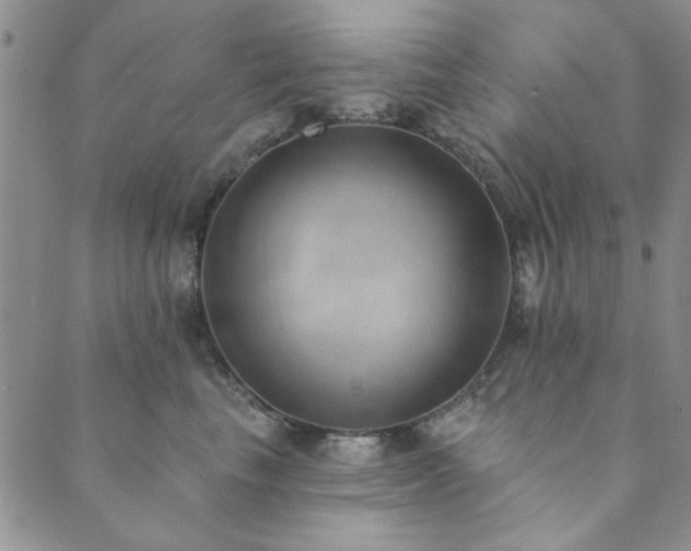 X0000089860665200706281252