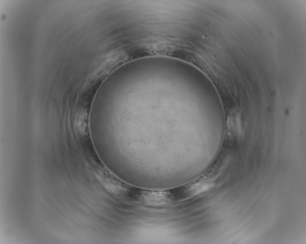 X0000089860671200706281252