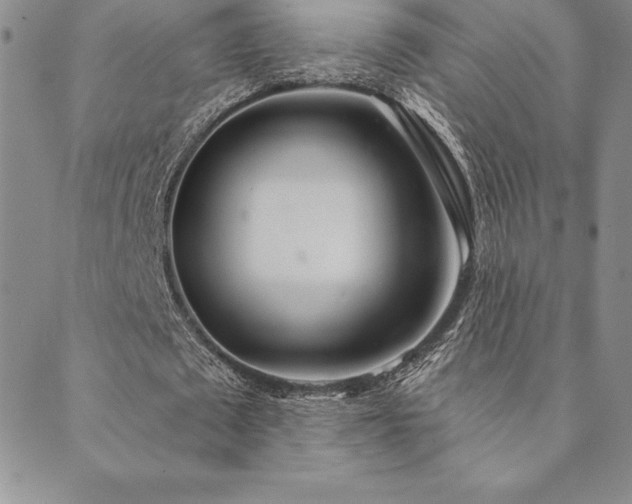 X0000089860673200706281251