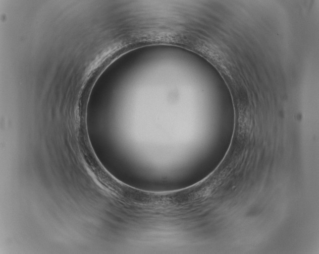 X0000089860674200706281251