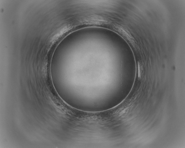 X0000089860675200706281251
