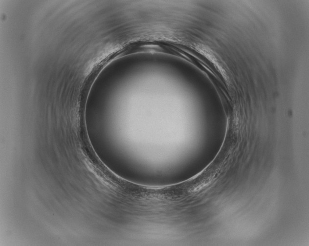 X0000089860677200706281251