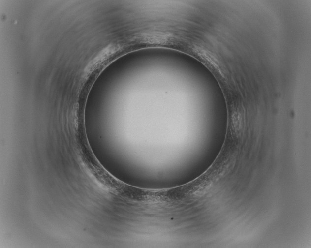 X0000089860682200706281251