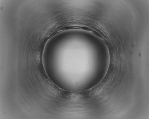 X0000089860697200706281251