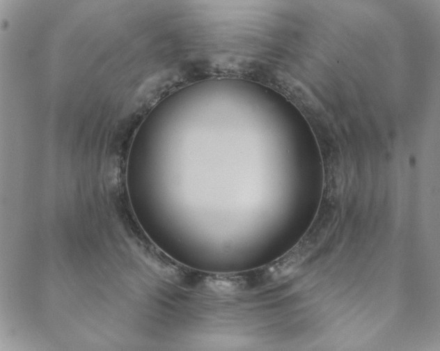 X0000089860706200706281251