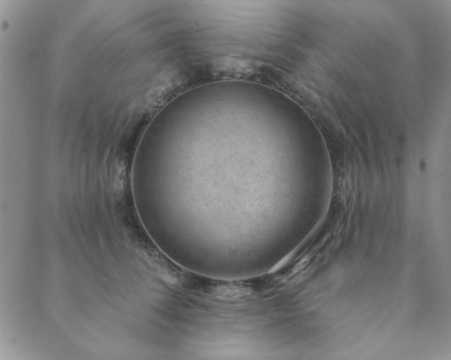 X0000089860708200706281251