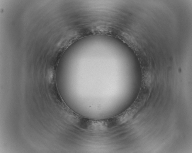 X0000089860709200706281251