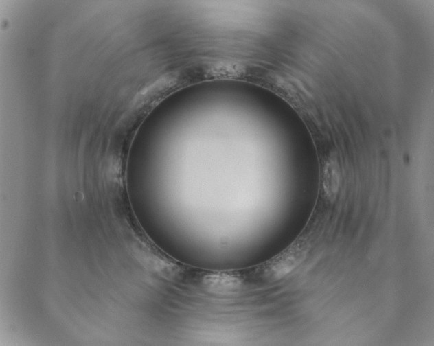 X0000089860714200706281251
