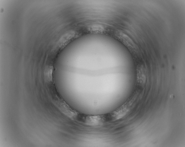 X0000089860717200706281251