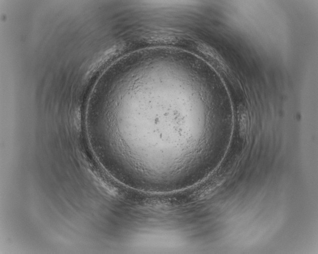 X0000089860729200706281250