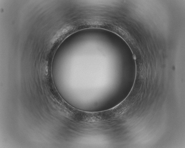 X0000089860731200706281250