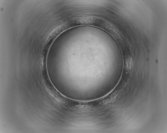 X0000089860733200706281250