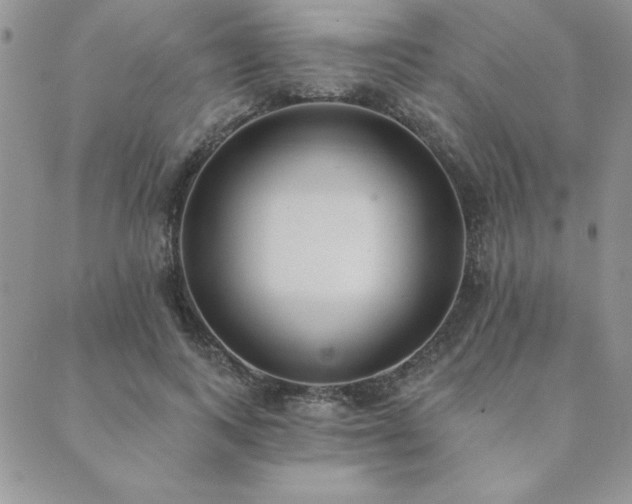 X0000089860743200706281250