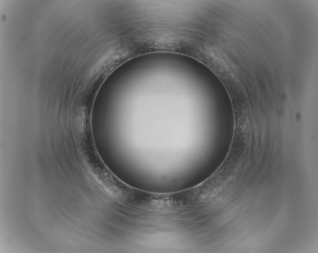 X0000089860744200706281250