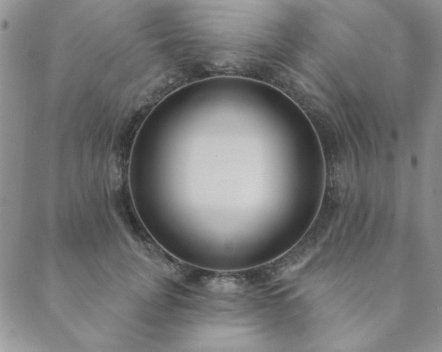 X0000089860751200706281250