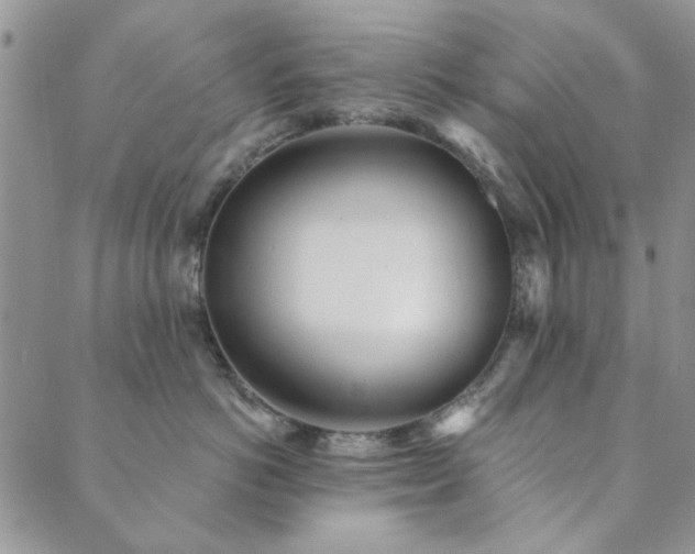 X0000089860766200706281251