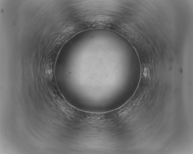 X0000089860771200706281250