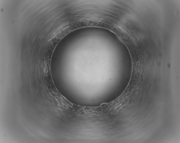 X0000089860774200706281250