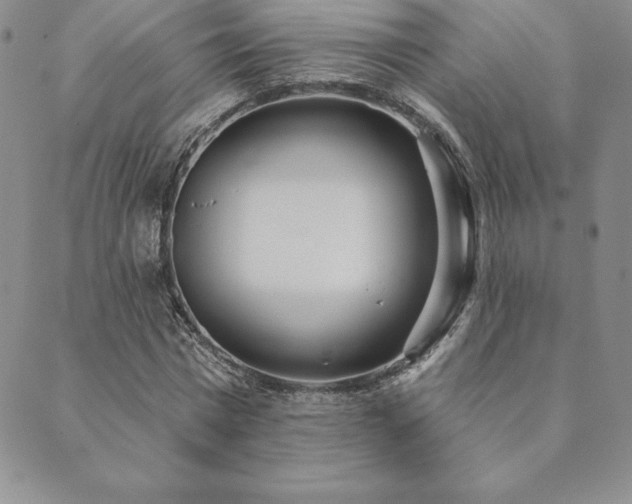 X0000089860777200706281250