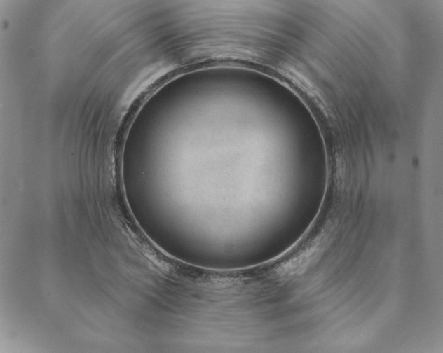 X0000089860782200706281250