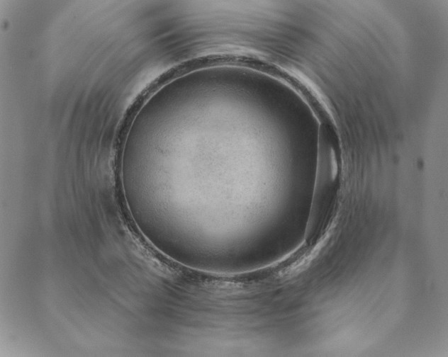 X0000089860783200706281250