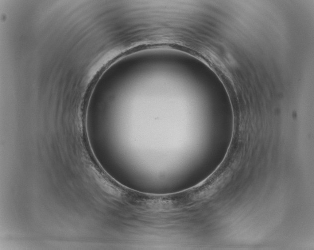 X0000089860789200706281249