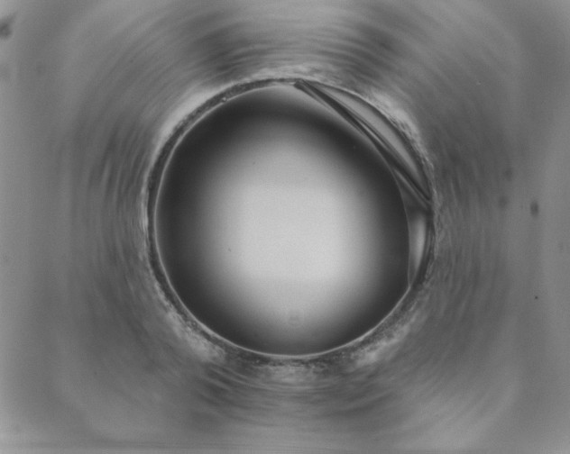 X0000089860792200706281249