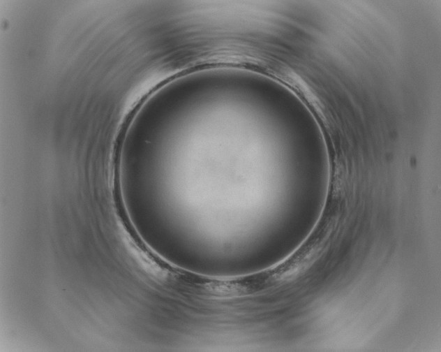 X0000089860795200706281249
