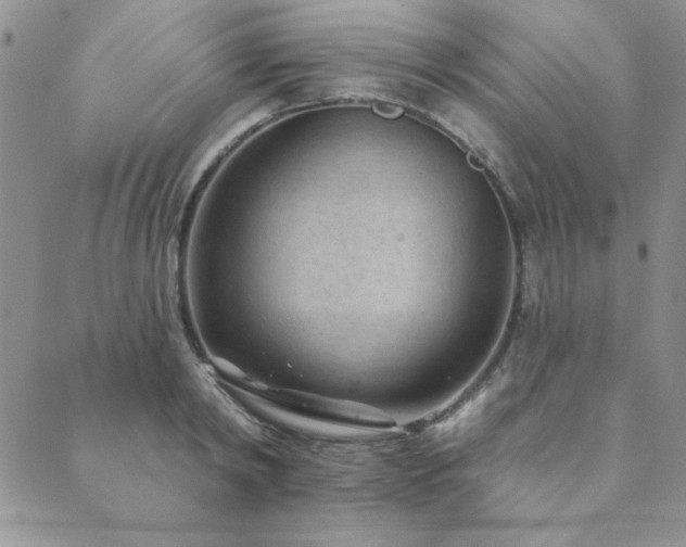 X0000089860798200706281249