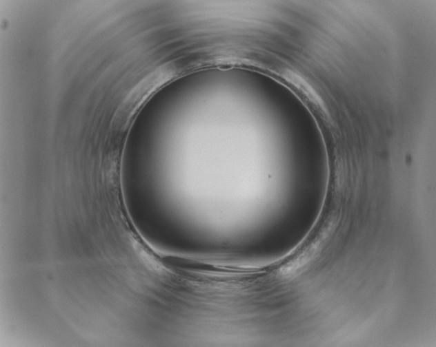 X0000089860801200706281249