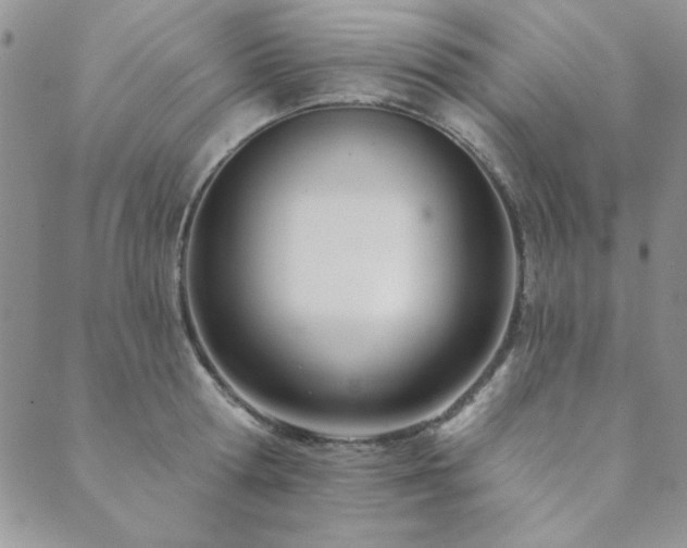 X0000089860802200706281249
