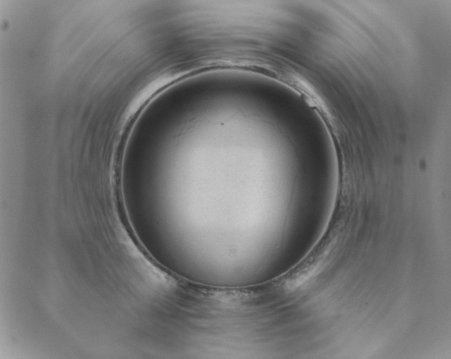 X0000089860803200706281249