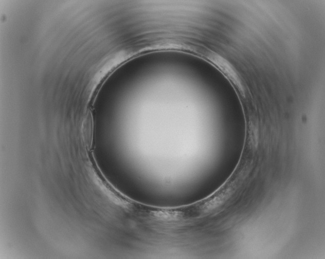 X0000089860805200706281249
