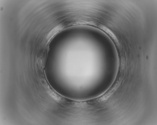 X0000089860809200706281249