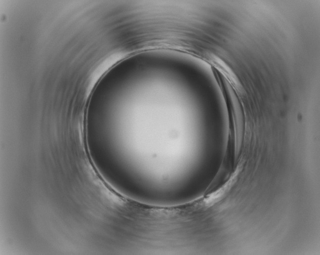 X0000089860812200706281249